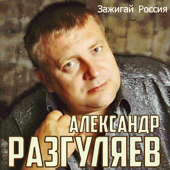 Обложка Александр Разгуляев - Война
