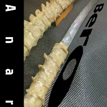 Обложка Anar - Bero