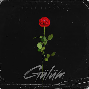 Обложка Ayaz Erdoğan - Gülüm