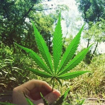 Блатной Удар - Koсяк Песня