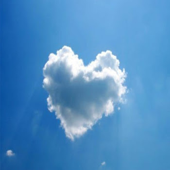 Обложка Cowbell Dynasty - Night Phonk