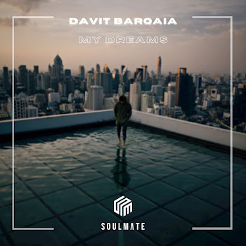 Davit Barqaia - My Dreams Песня