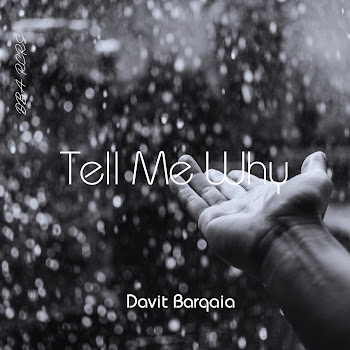 Davit Barqaia - Tell Me Why Песня