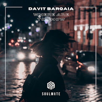 Обложка Davit Barqaia - Where Are You Now