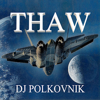 Обложка Dj Polkovnik - Thaw