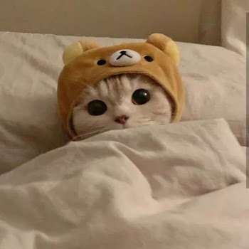 Обложка Epilogue - Chipi Chipi Chapa Chapa