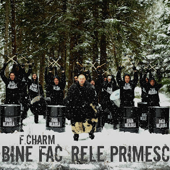F.charm - Bine Fac, Rele Primesc Песня