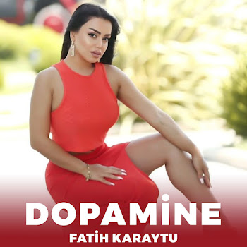 Fatih Karaytu - Dopamine Песня