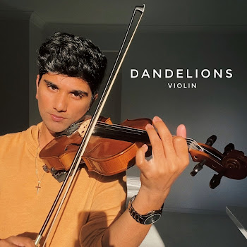 Joel Sunny - Dandelions (Violin) Песня