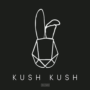 Обложка Kush Kush - Fight Back With Love Tonight