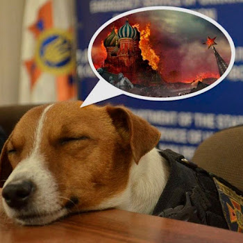 Обложка Леся Нікітюк - Цей Сон (Radio Edit) Ft Степан Гіга