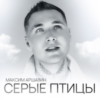 Максим Аршавин - Серые Птицы Песня