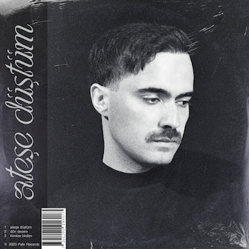 Обложка Mert Demir - Dön Desem