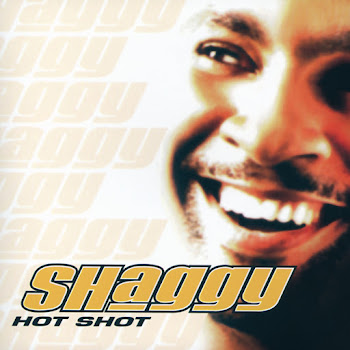 Shaggy - It Wasn't Me (Feat. Ricardo Ducent) Песня