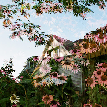 Ssshhhiiittt! - Засыпай Песня