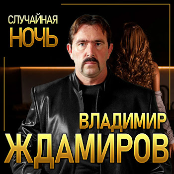 Владимир Ждамиров - Случайная Ночь Песня