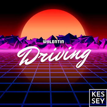 Обложка Walentin - Faraway