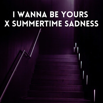 Обложка Zayan - I Wanna Be Yours X Summertime Sadness
